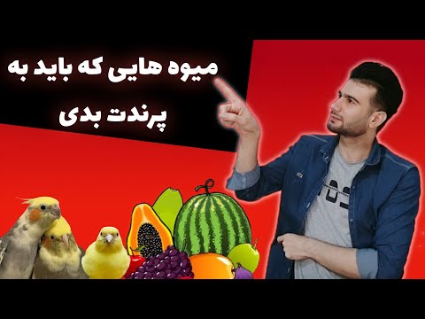 تصویری: میوه هایی که باید در برزیل امتحان کنید