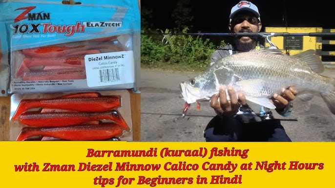 BEST Lure for Barramundi and Other Fishing Targets ! Think like a Fish