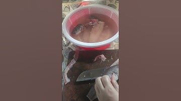 Cách làm khô cá lóc 1 nắng siêu đơn giản