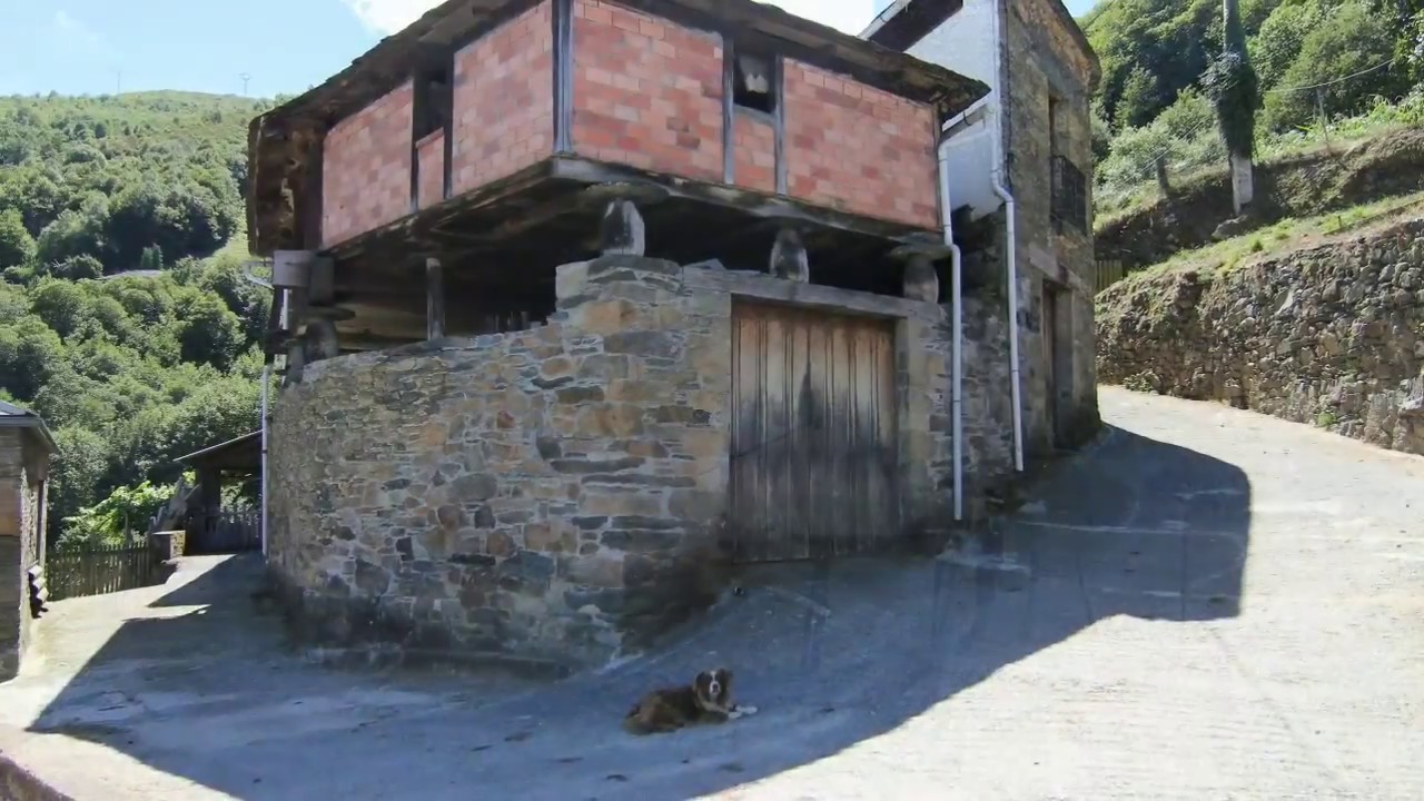 Folgueiras de Boiro Ibias, Asturias