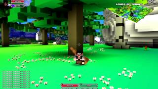 Cube World: Thrilling Combat System