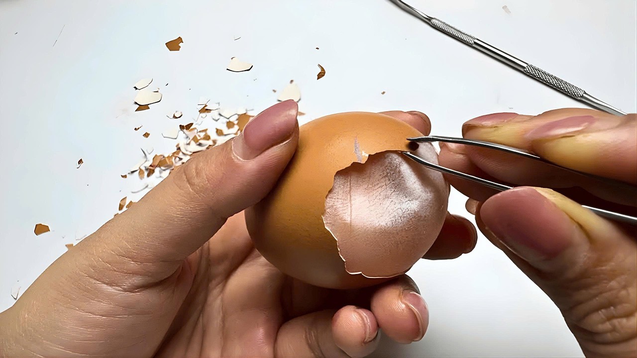 Raw Egg Peeling Challenge ASMR #5