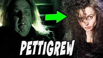 ¿Cómo traicionó Peter Pettigrew a los Potter?