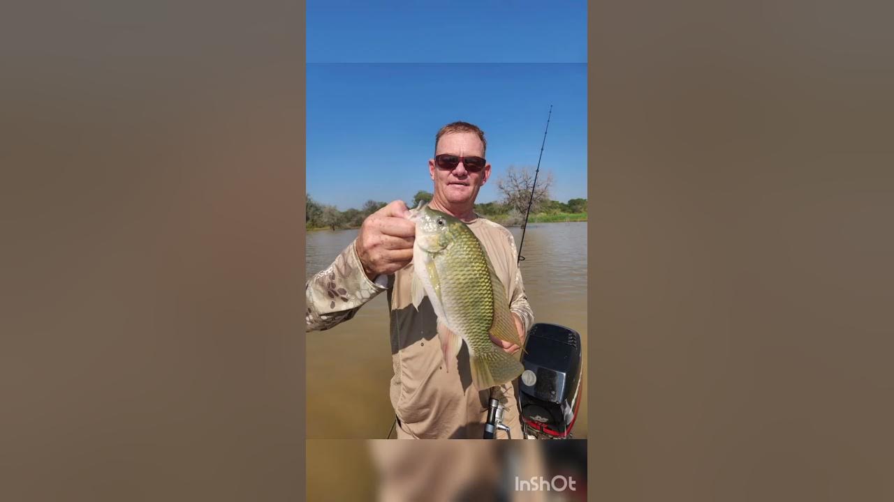 What Kind Of Fish Can Live Out Of Water