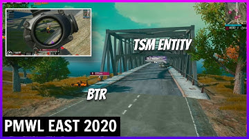 BTR bridge Camp Against TSM Entity  [ PMWL EAST 2020 OPENING WEEKEND DAY 1 ]