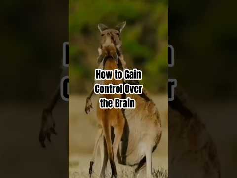 How to Gain Control Over the Brain #darkpsychology #psychology #manipulation #psychologyfacts