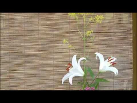 友川かずき 無残の美 - YouTube