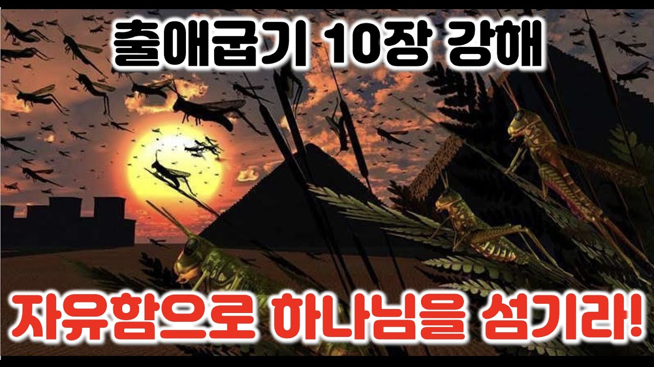 [출 10장] 자유함으로 하나님을 섬기라. 출애굽기 10장 강해