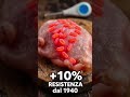 🌍🦠🔥 𝐈𝐥 𝐜𝐥𝐢𝐦𝐚 𝐫𝐞𝐧𝐝𝐞 𝐢 𝐛𝐚𝐭𝐭𝐞𝐫𝐢 𝐩𝐢𝐮̀ 𝐟𝐨𝐫𝐭𝐢 | +𝟏𝟎% 𝐚𝐧𝐭𝐢𝐛𝐢𝐨𝐭𝐢𝐜𝐨-𝐫𝐞𝐬𝐢𝐬𝐭𝐞𝐧𝐳𝐚 #cambiamentoclimatico