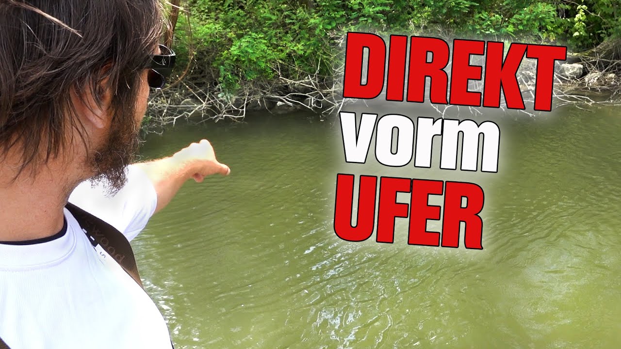 HIER fange ich WOBBLER-Welse | Spotwahl, Gerät, Taktik