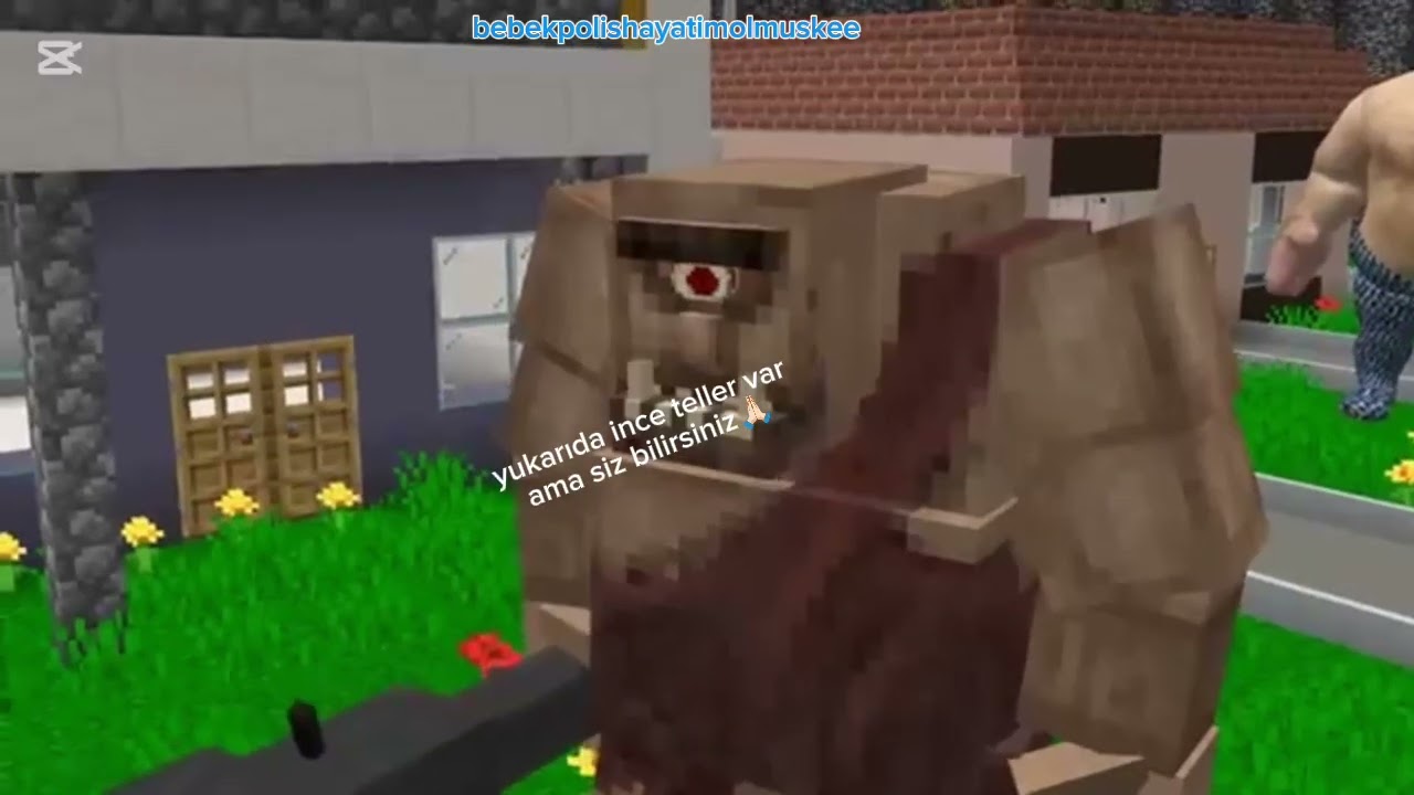 Mcp komik montaj 2 💫@Arefhayatımolmuss 