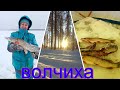 НАЛИМ. ЩУКА. ЖЕРЛИЦЫ. ВОЛЧИХИНСКОЕ ВДХР