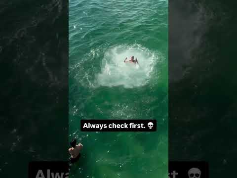 Always make sure the depth is safe for the jump, and then enjoy the journey.