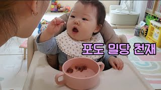 탕후루용 블랙사파이어 포도 먹방 #koreanfood #cutebabymukbang #koreanbaby