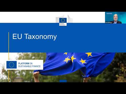 The EU Taxonomy in practice - supporting the transition to a sustainable economy