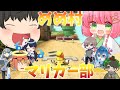 【マリオカート8DX】めめ村マリカーチーム戦!!【マリカーゆっくり実況part1】