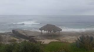 RAW FOOTAGE Windansea Beach Waves – La Jolla Surf Sound, San Diego June 2026 🌊