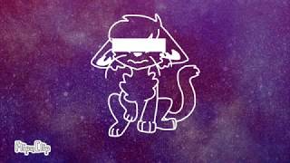 Animation WIP’s