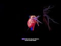 Heart Fact #biology #facts #viral #heart #shorts