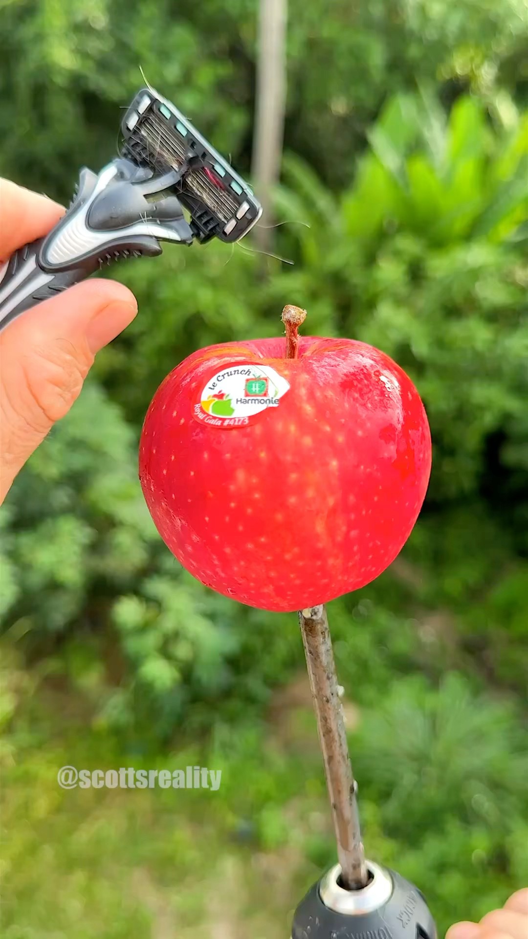 How to shave an apple in seconds ??