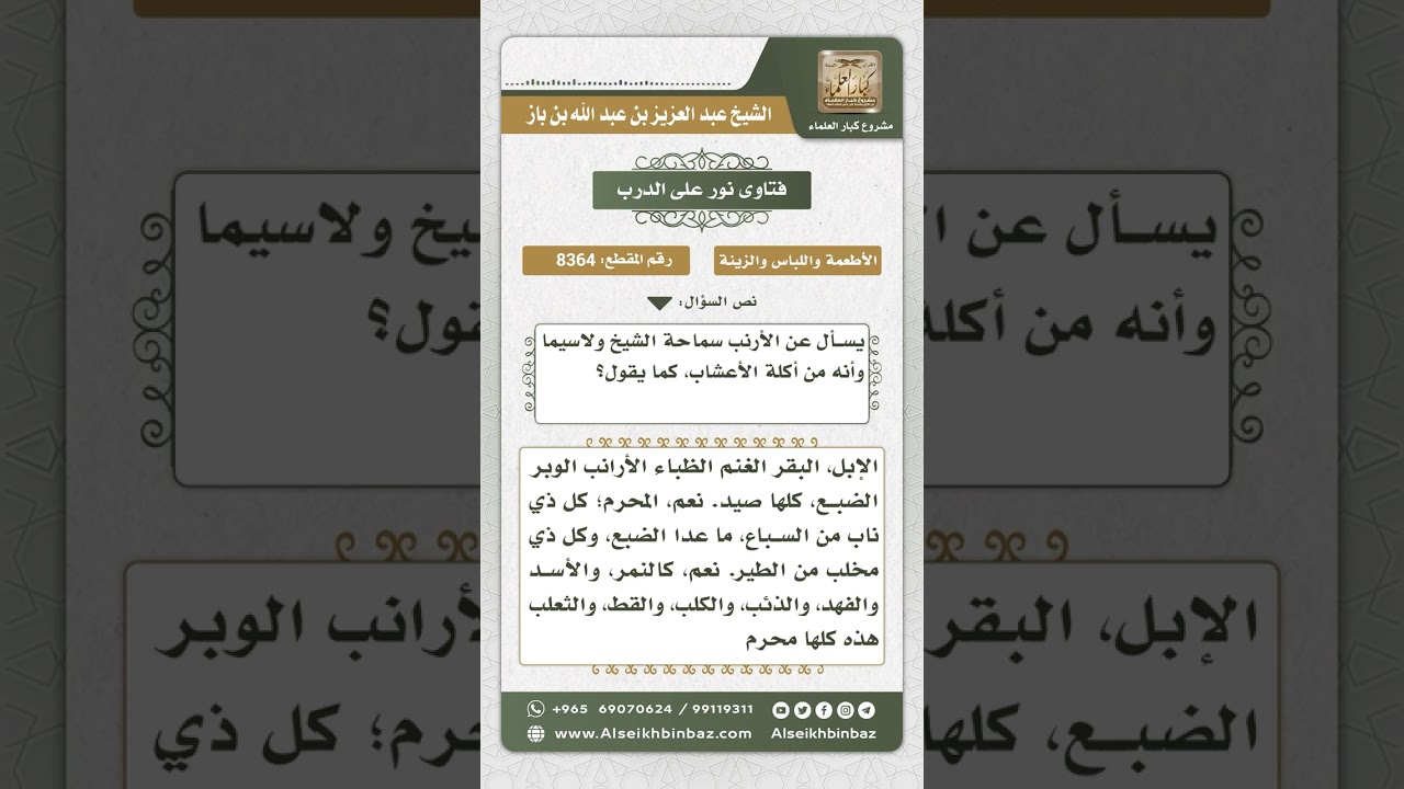 8364  -  حكم أكل لحم الأرنب -  نور على الدرب