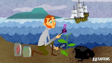 DARWIN