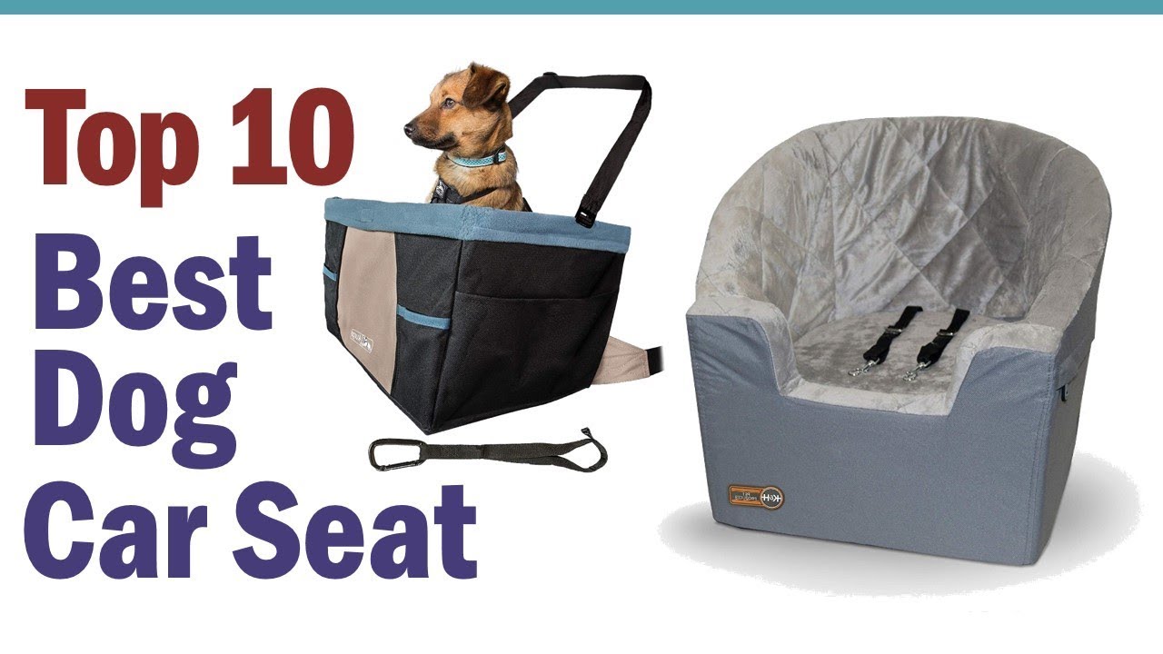 Best Dog Car Seat 2020 || Top10 Best Dog Car Seats - YouTube