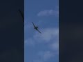 BF109 VS Spitfire Low Pass