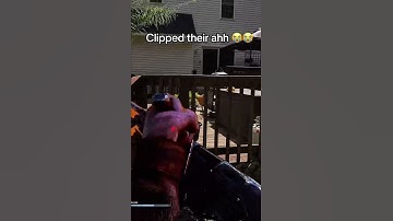 Deathslinger vs dog #deadbydaylightkiller #gaming #deadbydayligiohtcheat #fortnite #dbd #memes #dbd