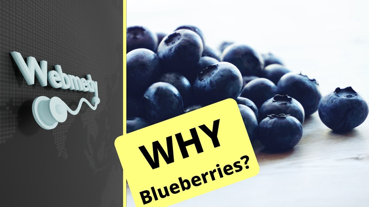 Why You Should Be Eating BLUEBERRIES Blueberries Health Benefits