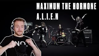 Download Lagu FIRST REACTION to MAXIMUM THE HORMONE (A.L.I.E.N) 👽🎸🔥 Download Lagu FIRST REACTION to MAXIMUM THE HORMONE (A.L.I.E.N) 👽🎸🔥