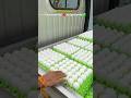 Buy eggs 🥚 #nitwarangal #nit #hostellife #college #shorts #viral #jee #gym #students #trending #yt
