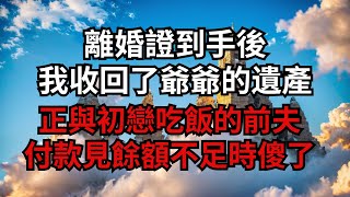 離婚證到手後,我收回了爺爺的遺產,正與初戀吃飯的前夫,付款見餘額不足時傻了!【煙雨夕陽】#為人處世 #爽文 #情感故事 #深夜讀書 #幸福人生