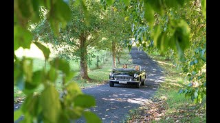 Colourful Collective Travel Sydney