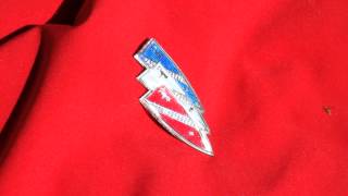 1970 Wildcat Electra Bumper Emblem