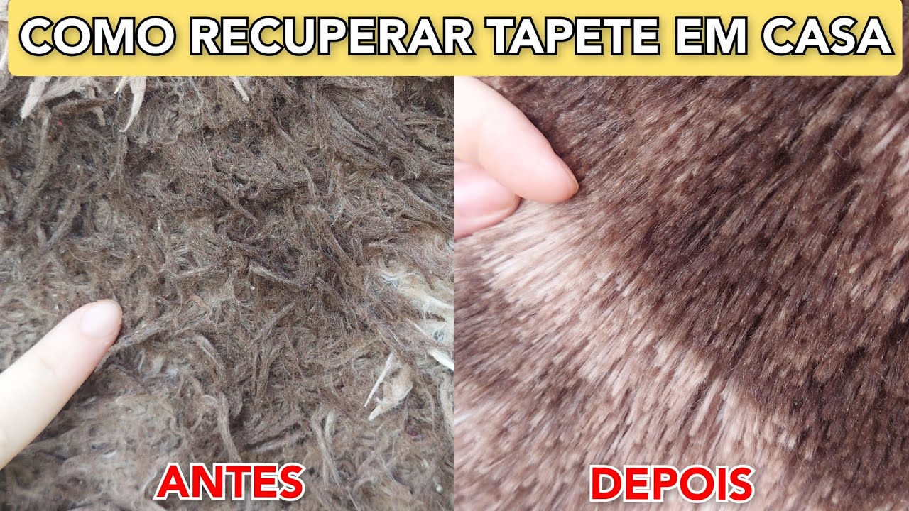 Como DESENBARAÇAR e RECUPERAR seu TAPETE de PELO alto em CASA