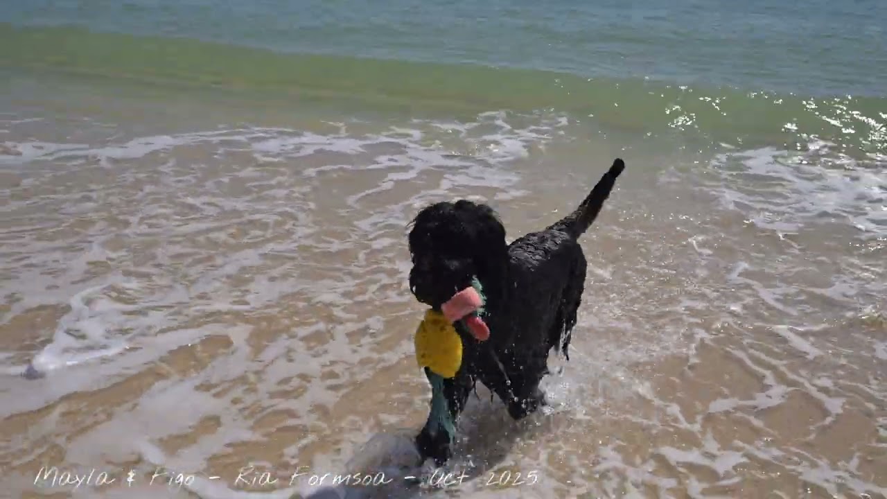 Ferienhaus an der Algarve - Casa Ria