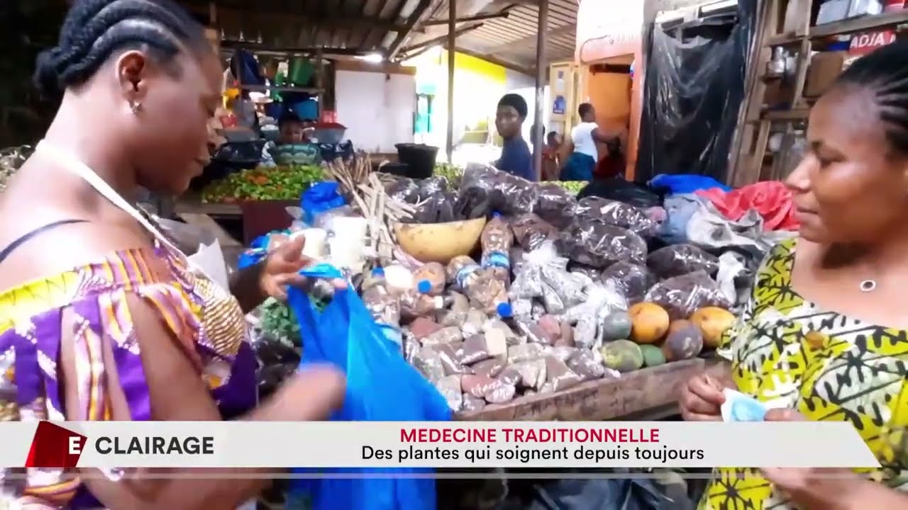 Médecine traditionnelle :  des plantes qui soignent depuis toujours