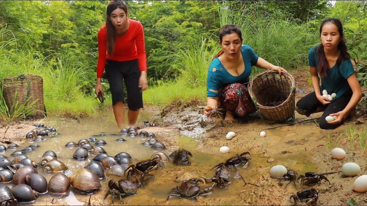Catch crabs and snails for food/ Stir fey crabs with egg And cooking snail for lunch