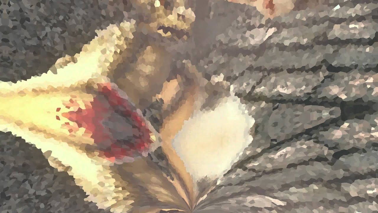 [IDM Downtempo Trip Hop Glitch] TIME IN A DREAM - Jazzyspoon & IG88