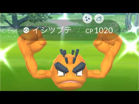 ポケモンgo 色違いアローライシツブテ出現 色違いゴローン 色違いゴローニャへ進化 Youtube