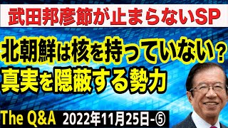 武田節炸裂！北朝鮮は核ミサイルを持っていない？真実を隠蔽する勢力の正体／日本経済界の腐敗　⑤【The Q&A】11/25