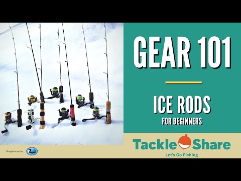 best intro fly reels forum Best Fly Fishing Reels 2026