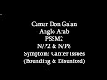 Symptoms Of PSSM2- Canter Issues (Camar Don Galan)