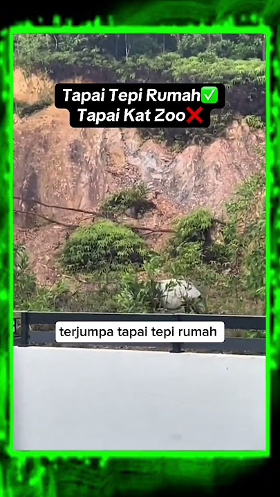 Ini klu buka kaunter laku kerasss ni.. Dpt pulak mkn sejuk² 🤣📽 syazaifa