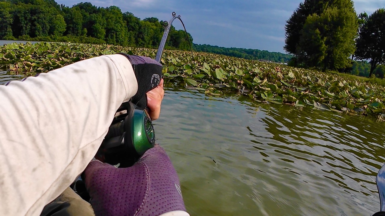 I Wasn't Planning On Catching This While Bass Fishing!!