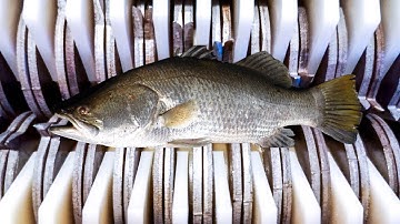 Amazing Machines Operating At An INSANE LEVEL 3