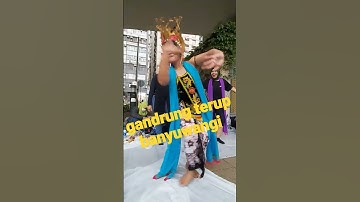 Gandrung terup #shortvideo #sridewi #gandrungbanyuwangi #gandrung #bmi #fyp #vídeoviral #dance