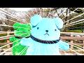 SOARA「Gonna Be Alright」【ツキコットMV集】