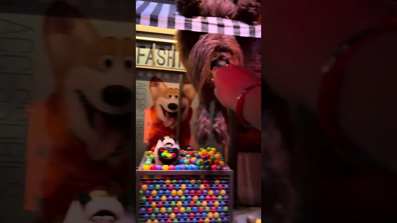 The Secret Life Of Pets: Off The Leash Ride Part 2 at Pets Place 1/23/2026